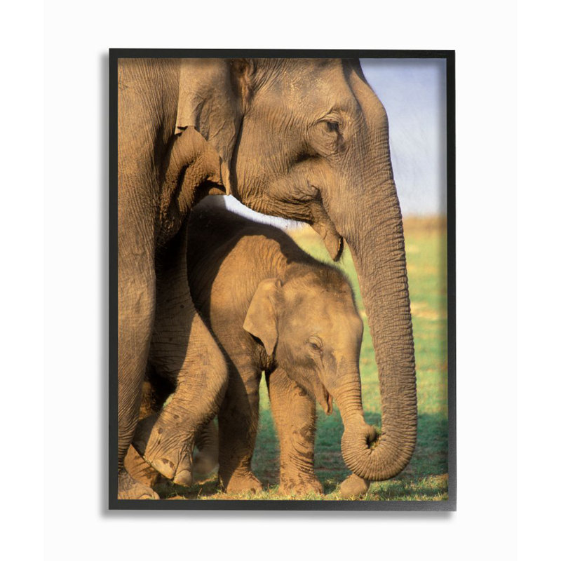 «Elephant Family Mother with Child», photographie, H 30 po x l 24 po x P 1,5 po, Giclée encadrée noir minuit