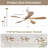 45 Inch Smart Ceiling Fan With Light 18W Tri Color Dimmable LED Alexa APP Control Quiet Reversible Motor Memory Function Timer-2135463676-2135463678
