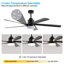 65 Inch Black Ceiling Fan With Light