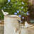 Sharmina Floor Fountain with Lights-381785810-338689885