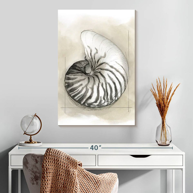 Brampt Shell Schematic I, 30" H x 20" W