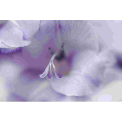 Un cadeau en mauve II