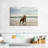 Brampt Pit Bull On Beach-106428984