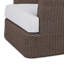 Doane Outdoor Swivel Lounge Chair