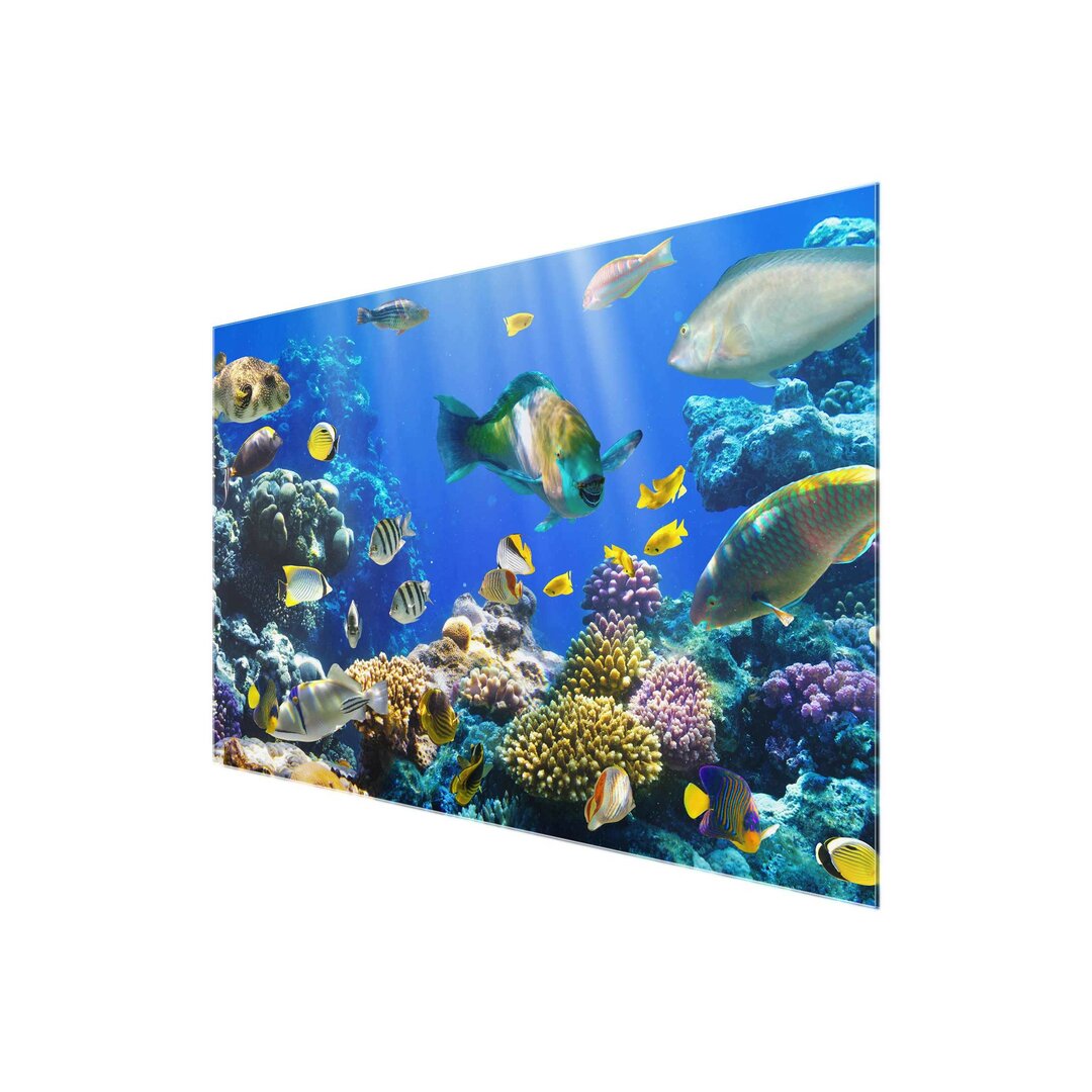 Glasbild Underwater Reef