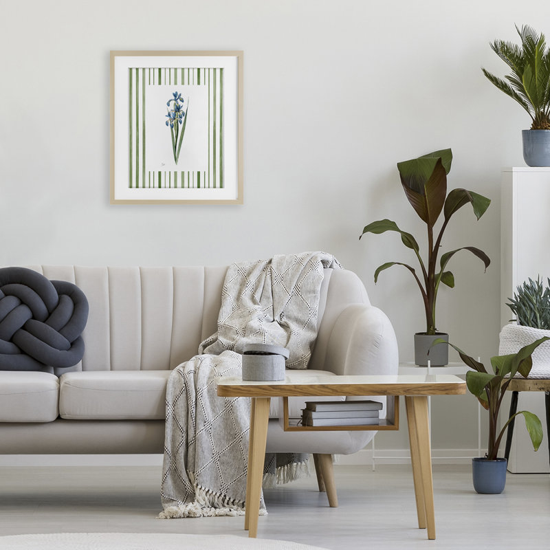 Printemps Iris avec rayures, reproduction encadrée sous verre, design par Nan, Cadre de récolte en pin, H 16 po x l 13 po