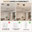 1 - Light Chandelier