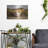 " Vineyard Launch " by Karl Soderlund-863010232