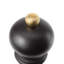 Paris Pepper Mill-119462031-15532415