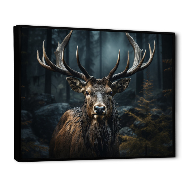 " Black White Moose Portrait ", 16" H x 32" W x 1" D, Black Floater Framed