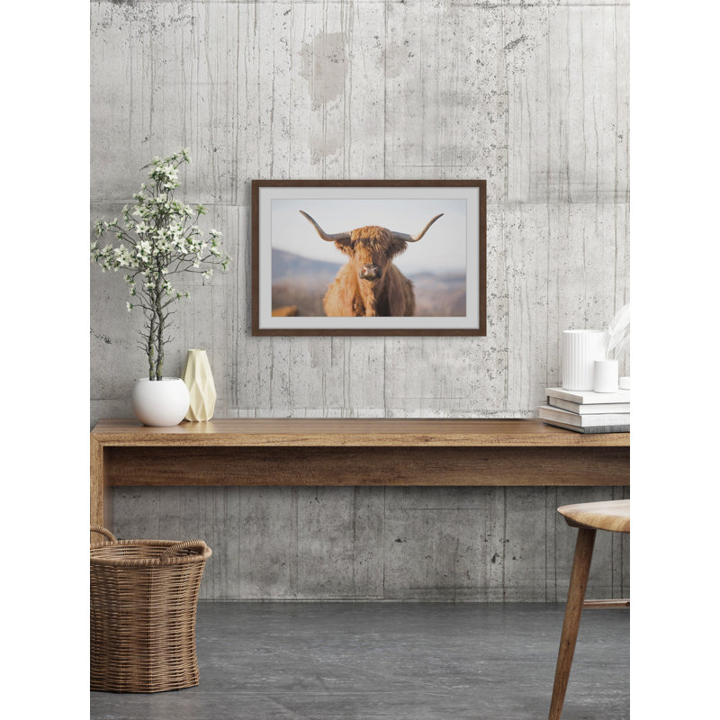 Highland Cow - Print, Brown Framed Paper, 20cm H x 20cm W x 3.81cm D