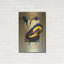 Luxe Toucans «Chestnut-Mandibled Toucans» par Har-101614897