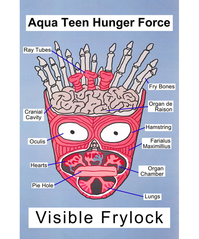 Ado turquoise - Frylock IMP-ST4381R, H 18 po x l 12 po