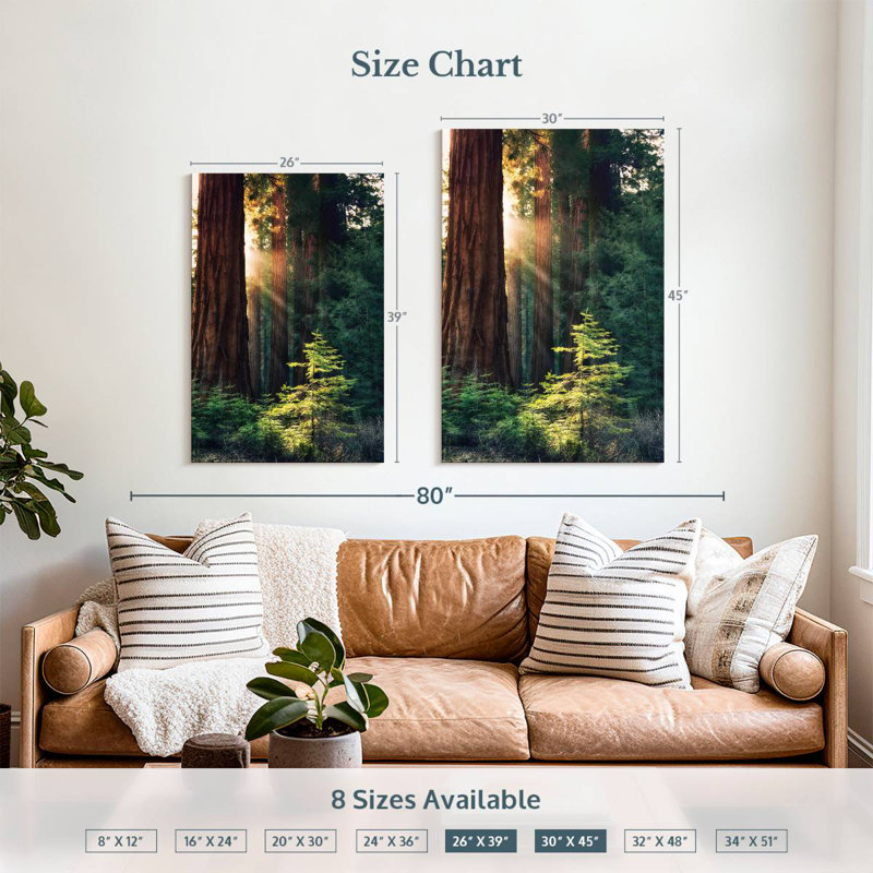 Arbres du parc national Harnek Yosemite, H 45 po x l 30 po