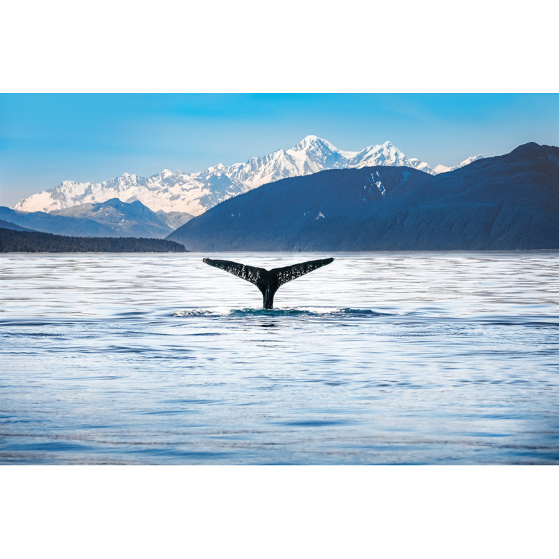 Humpback Whale Tail, Alaska by Martina Birnbaum - Wrapped Canvas Print, 30cm H x 46cm W x 3.8cm D