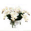 Orchid Floral Arrangement in Vase