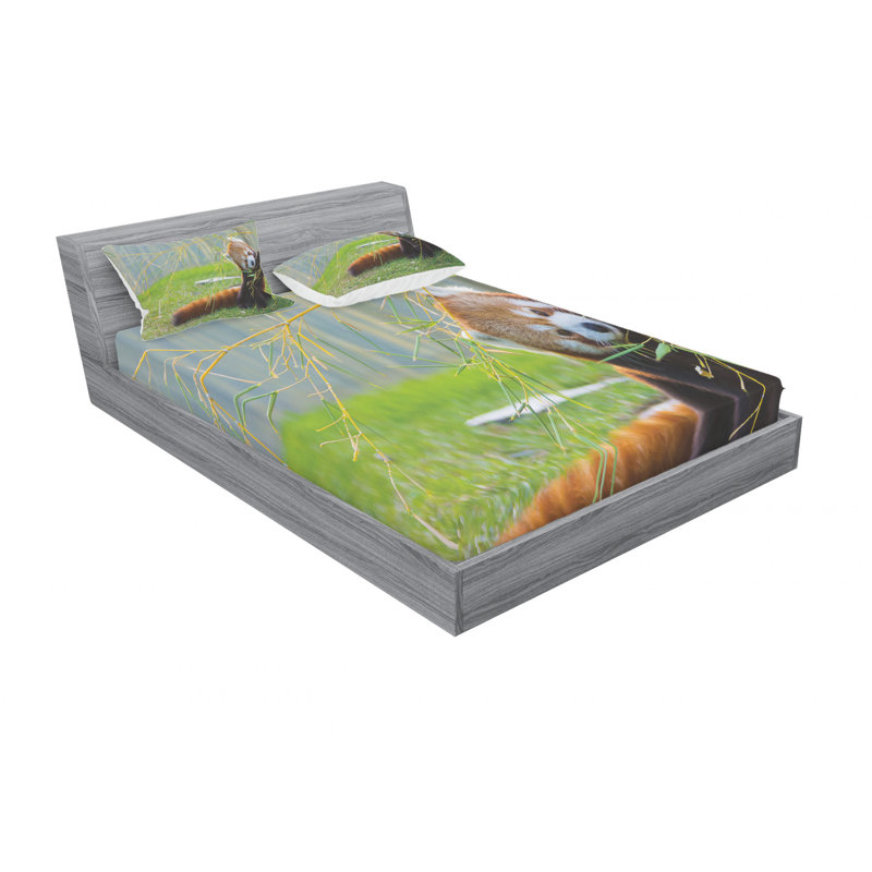 Ensemble de draps himalaya avec des branches de bambou pour le terrain