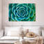 «Live Succulent», reproduction sur toile-92279627