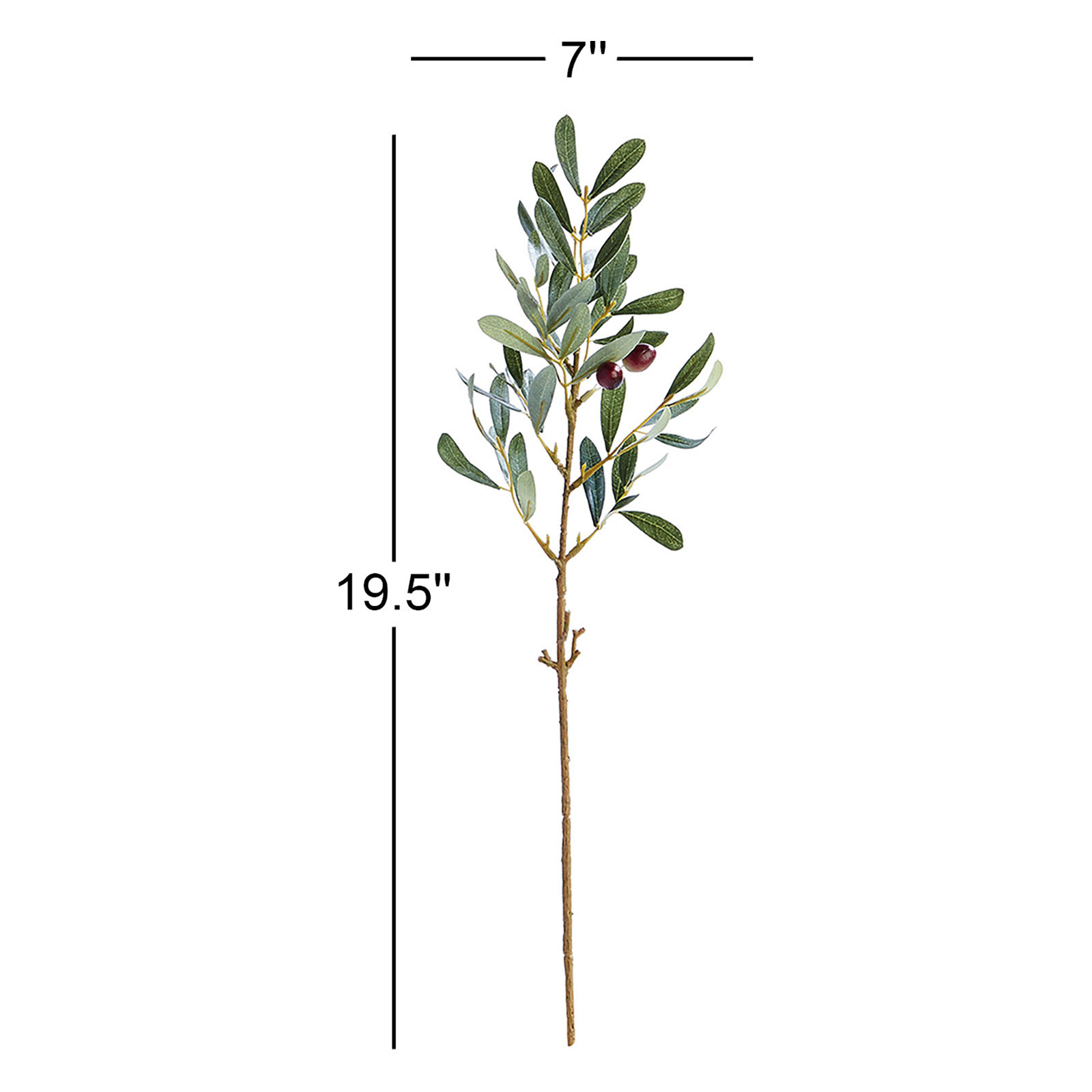 Olive Floral Stems