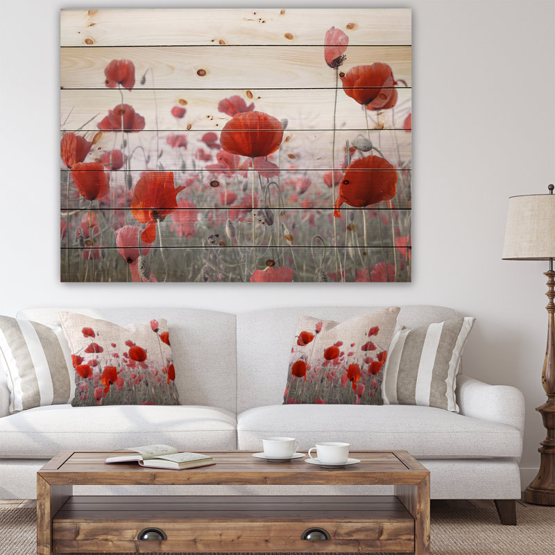 Incroyable jardin de fleurs de coquelicots rouges Incroyable jardin de fleurs de coquelicots rouges - sur
