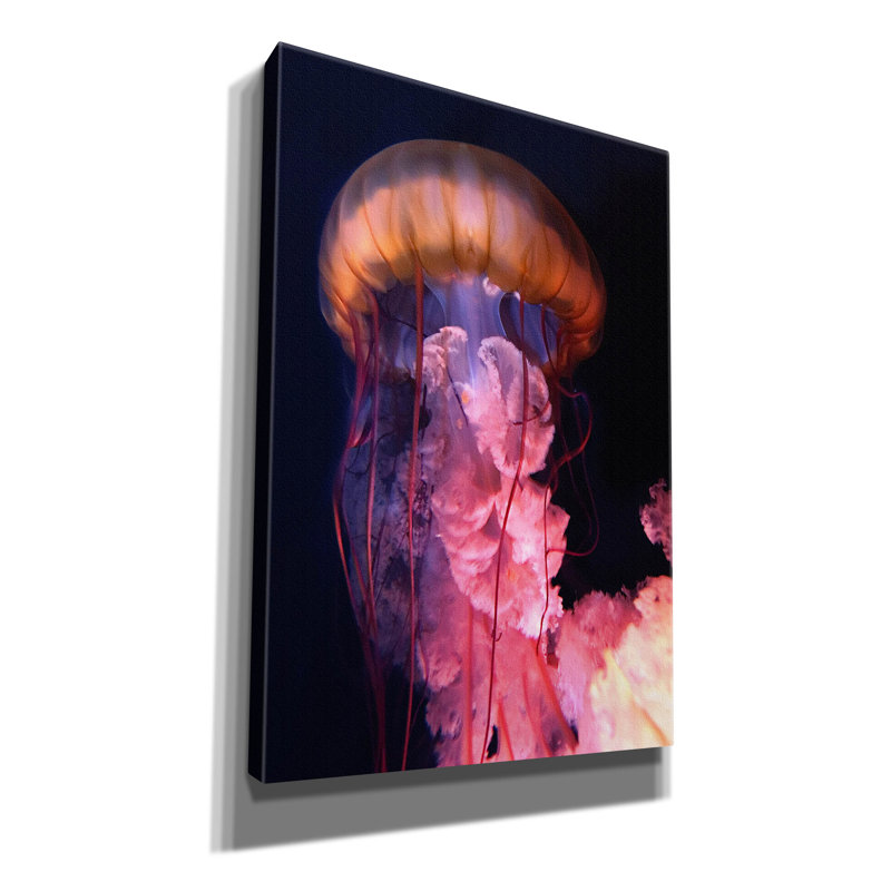 «Gelly» par PhotoINC Studio, H 26 po x l 18 po