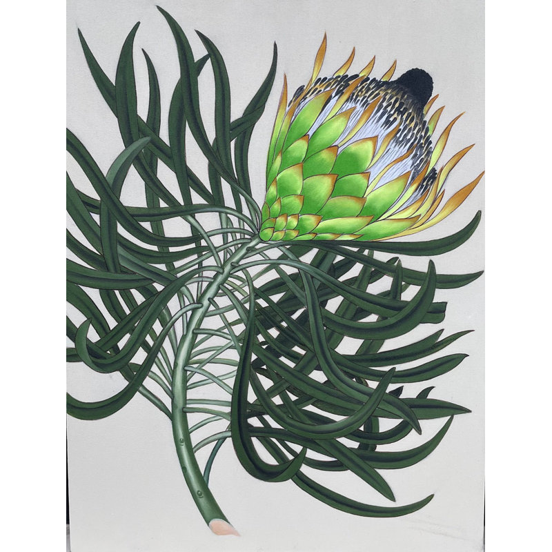 Protea