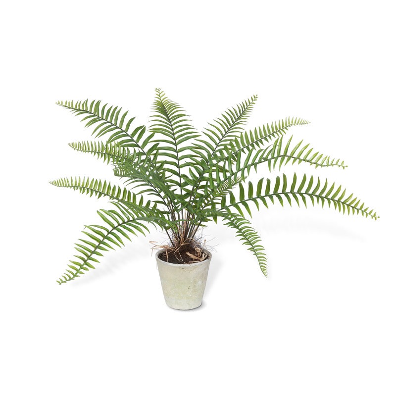 40.0'' Faux Fern Plant in Pot