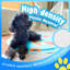 Tapis de refroidissement pour animaux de compagnie