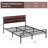 Euanthe Upholstered Bed-278082518-278082517
