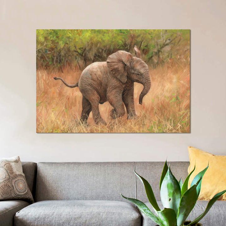 «Baby African Elephant», impression sur toile, H 18 po x l 26 po x P 1,5 po, Toile tendue, Pas de tapis