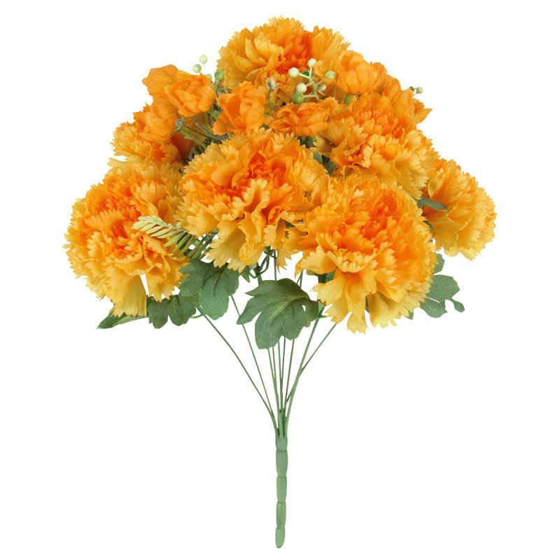 Oeillet, Jaune / orange