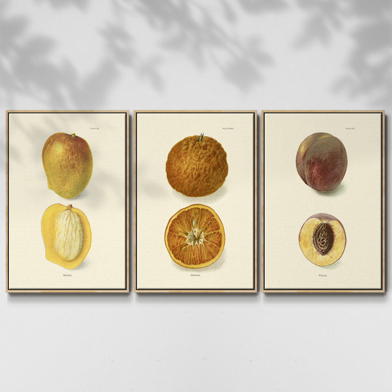 Mangue encadrée sur toile, ensemble de 3 pièces, Bois naturel, H 36 po x l 72 po