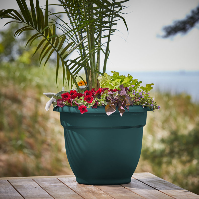 Pot à fleurs intérieur / extérieur Traditional, H 17 po x l 21,5 po x P 21,5 po, Vert forêt