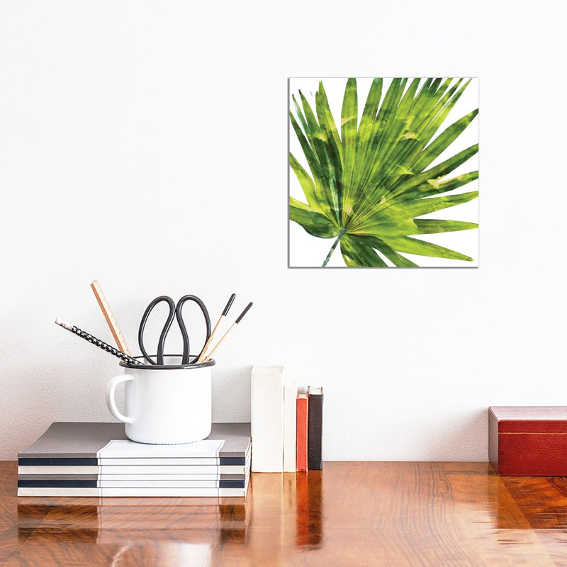 Green Palm, Close-Up IV by Melonie Miller - Wrapped Canvas Painting, 30.48 cm H x 30.48 cm W