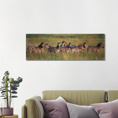 Burchell'S Zebras (Equus Quagga Burchellii) In A Forest, Masai Mara National Reserve, Kenya - Wrapped Canvas Panoramic Print