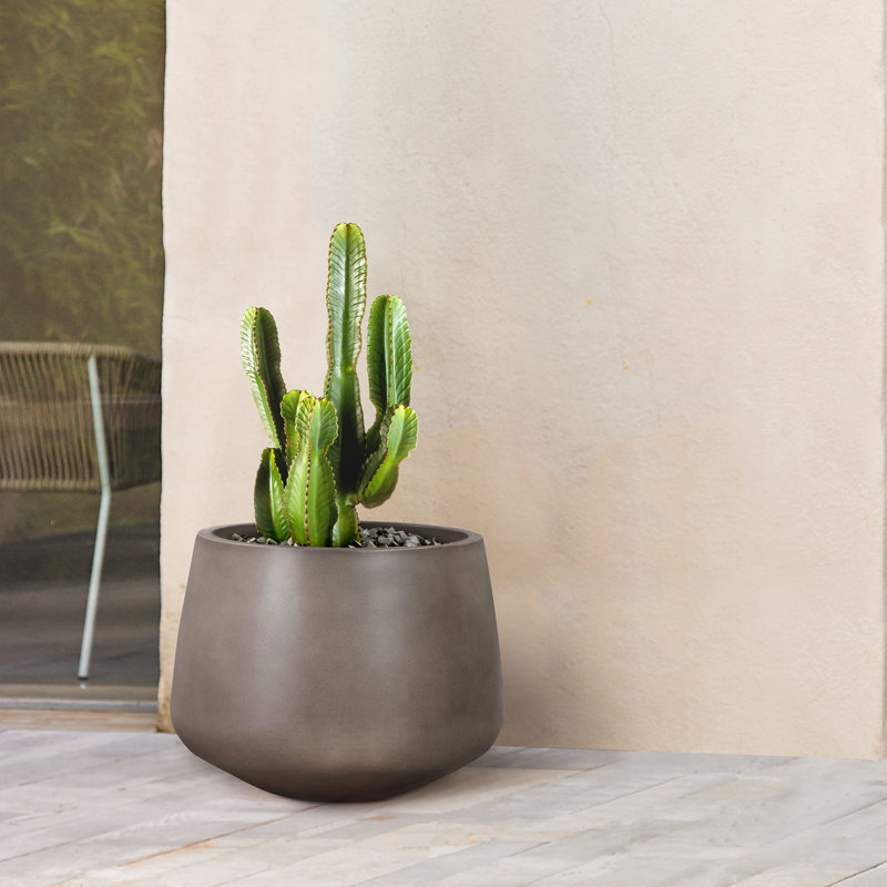 Pot de fleurs en béton, Gris, H 11 po x l 14 po x P 14 po