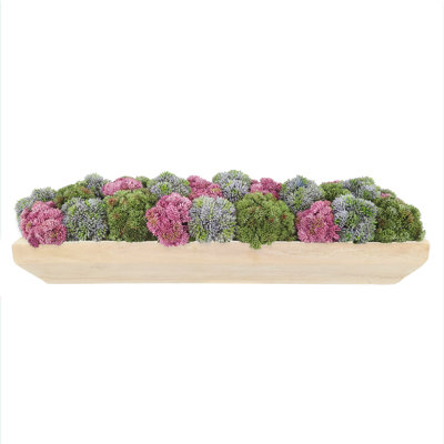 Sedum and Moss Arranged in Wood Planter