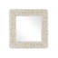 Piddock Square Shell Wall Mirror