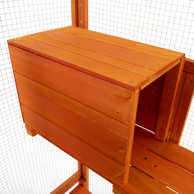 Grande enceinte pour chat avec 5 perchoirs, 2 condos et 1 porte verrouillable, orange