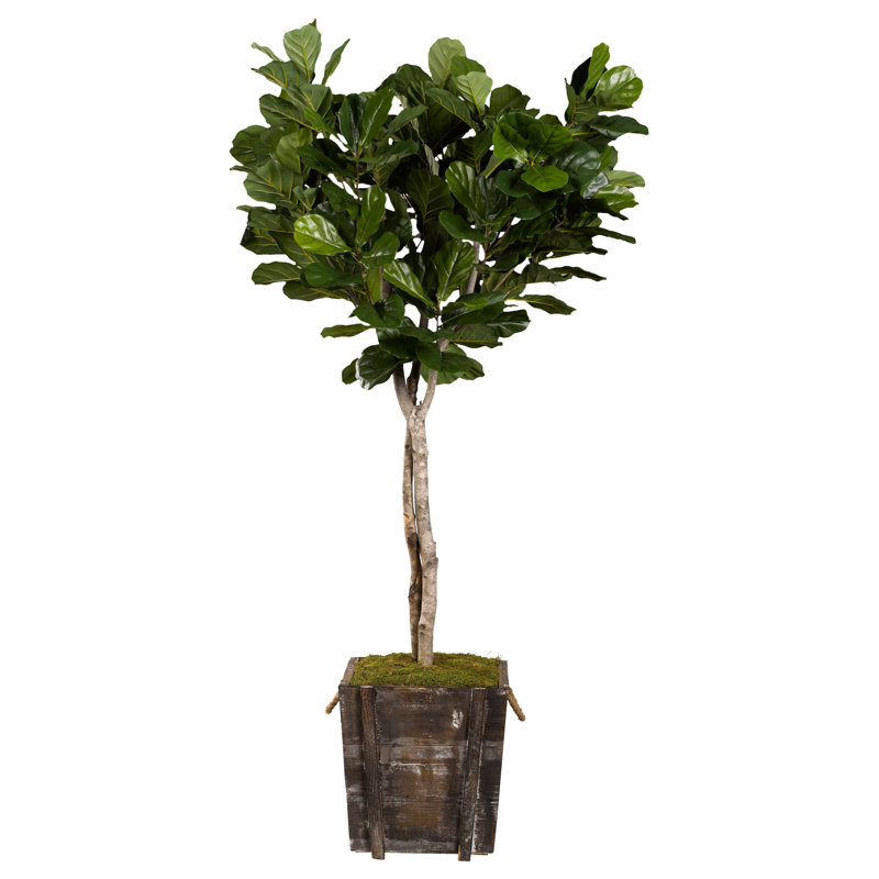 Faux Fiddle Leaf Fig Tree in Solid Wood Planter