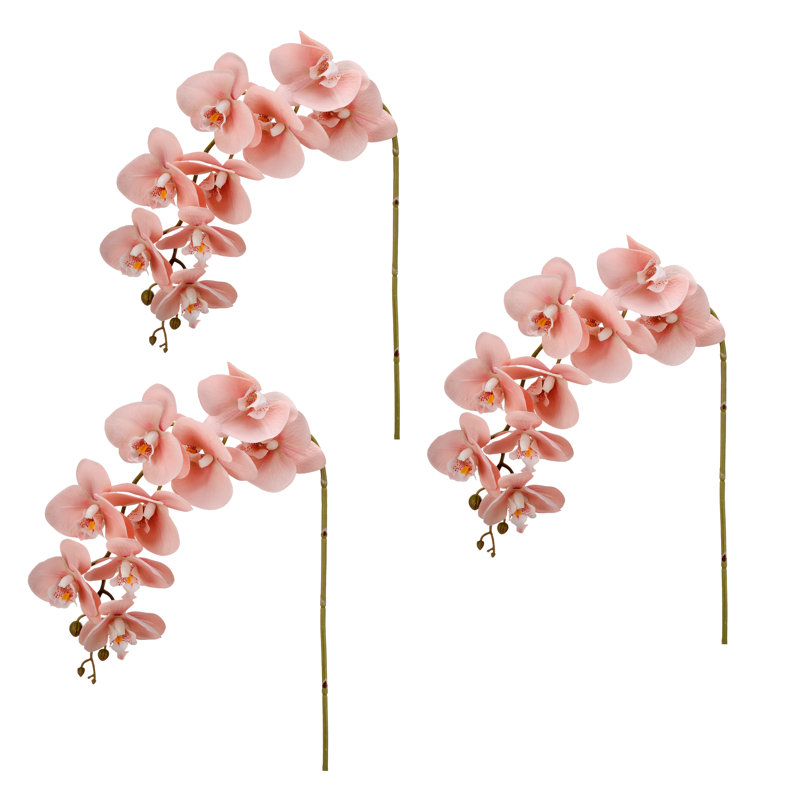 34,5 po vaporisateur de phalaenopsis , Rose