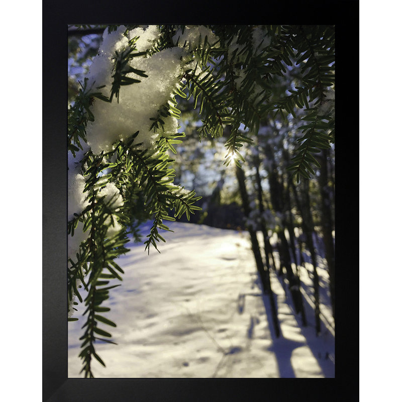 Couverture hivernale - photographie, Papier encadré noir, Pas de tapis, H 16,5 po x l 13,5 po x P 1,25 po
