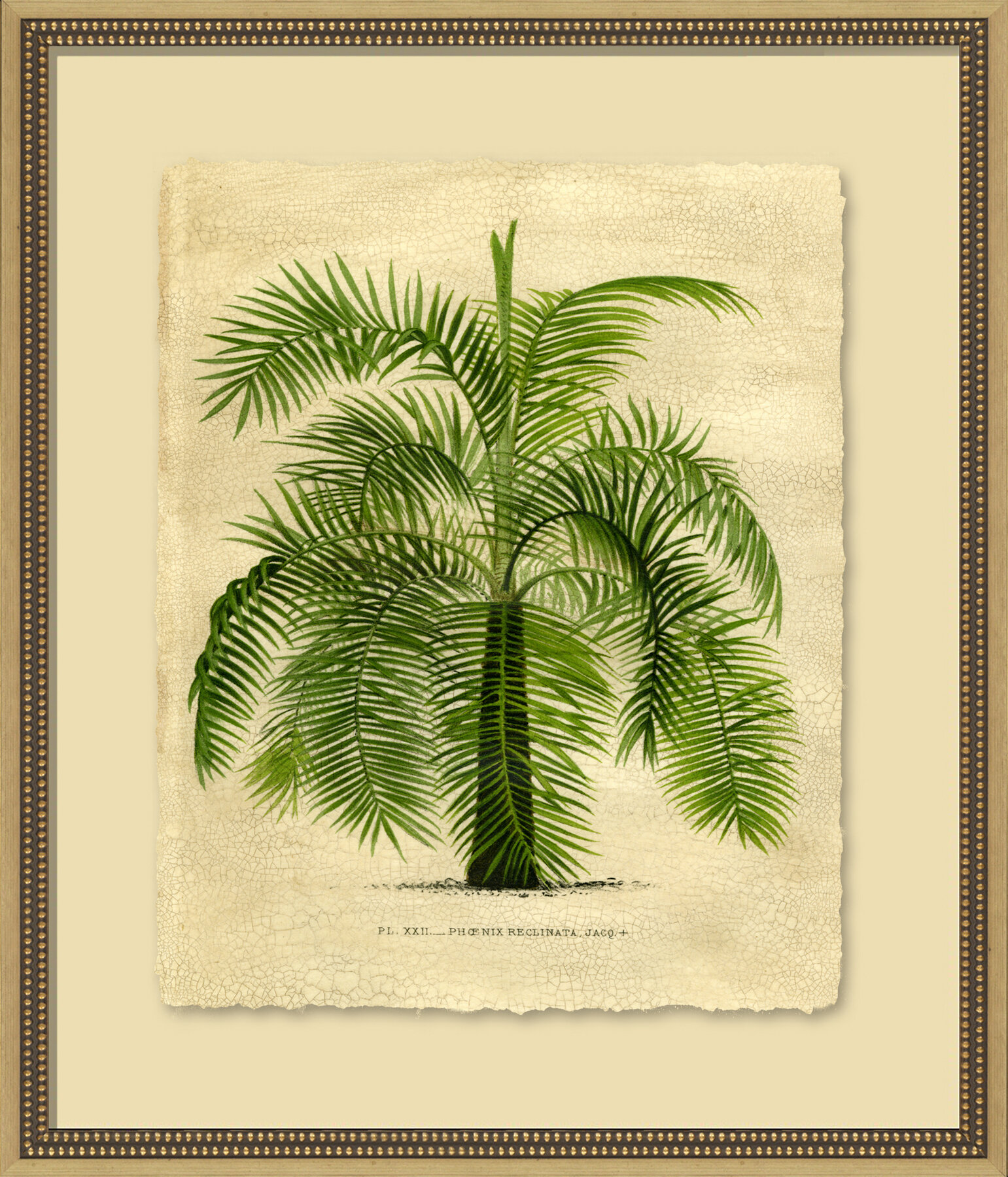 Wendover Art Group Island Palm II - Picture Frame Painting | Wayfair