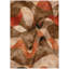 Tapis intérieur / extérieur Altair-389123013