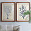 Indigo Coral III - ensemble de 2 reproductions d'art encadrées-1967876250-1967876252-1967713763