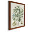 Reproduction de cadre photo simple sur toile Buchoz-88381222-88381225