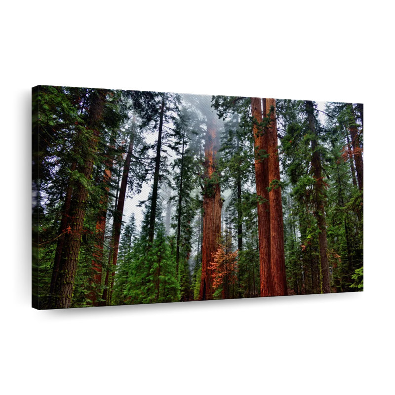 «Vibrant Redwood», reproduction sur toile, L 8 po x H 12 po x P 1 po