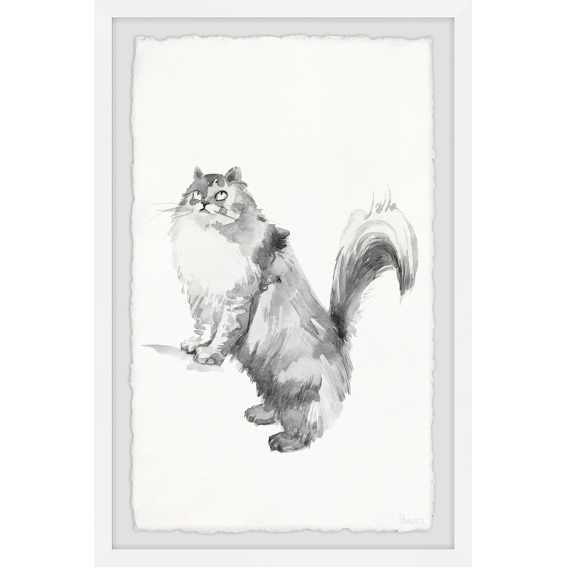 Grey Maine Coon by Parvez Taj - Single Picture Frame Painting, 30 cm H x 20 cm W