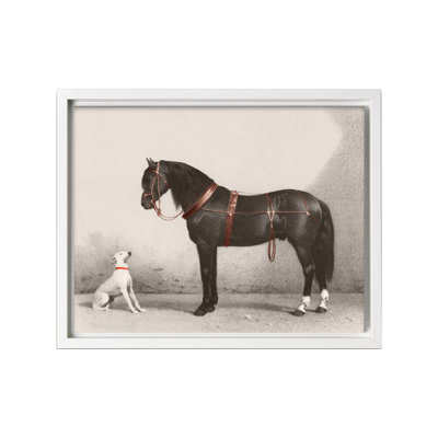 Cheval et chien