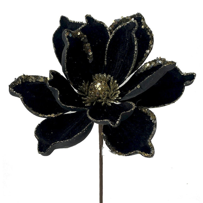 Tige de magnolia, Noir